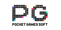 Payment partner logo nine